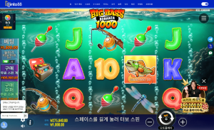 해외배팅싸이트 인투88 프라그마틱 빅베스보난자