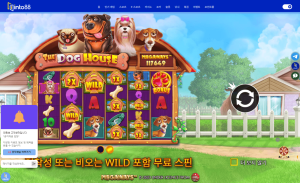 해외배팅싸이트 인투88 프라그마틱 도그하우스